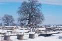 View of the snowy palace