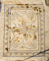 Therme Leonidaiou, mosaic.