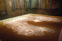 Mosaic floor of a house.