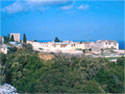 General view of the monastery