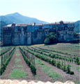 View of the monastery from east