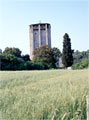 Milutin tower