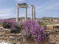 Delos, The Establishments of the Poseidoniasts from Beirut. 2nd cent. BC.