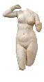 Aphrodite rising from the sea, 2nd -1st cent. BC. Delos Museum, A.04150. Photographic Archive of Delos Museum