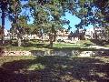 Garden of Pasha