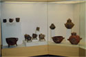 Prehistoric exhibits in hall I