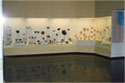 Partial view of exhibition hall IV. Chios kylixs, black-glazed vases, glass unguentarium