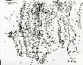 Topographic diagram of Stratos by L. Heuzey