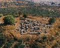 The temple of Zeus at Stratos