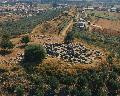 View of the temple of Zeus and the area