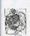 Plan of the tumuli R26 and R27