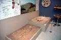 Neolithic and Bronze Age burials