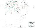 Topographic diagram of ancient Palairos