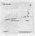 Ground plan