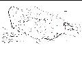 Ground plan