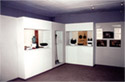 Partial view of the exhibition