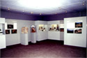 Partial view of the exhibition