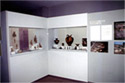 Partial view of the exhibition