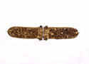 The golden belt is decorated by natural patterns