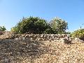 Walls of Ancient Pagai