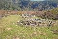 Konstantia. Tombs.