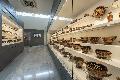 Lambropoulos Collection and other Donations