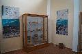 The Excibition