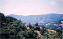 The location of the monastery