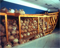 View of the ceramic magazine