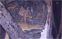 Wall painting in the south vault