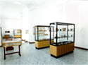 Archaeological Collection's interior with showcases