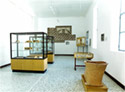 Archaeological Collection's interior with ceramic vases in showcases
