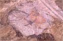 Seating figure, part of a mosaic floor from the stoic building