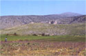 General view of the acropolis of Pelinnaion