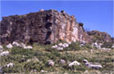 View of the acropolis fortification wall