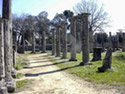 The doric colonnade of Palaestra
