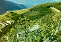 General view of the oracle at Delphi