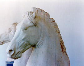 Marble protomes of horses, larger than life