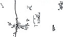 Topographic drawing of the organised Archaeological Site of Abdera