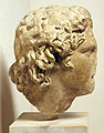 Side view of the head