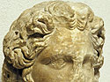 Detail from the forehead with the special wrinkle