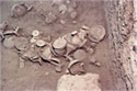In situ ceramic at the mycenaean palace