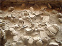 Ceramic in situ from the mycenaean settlement at Dimini