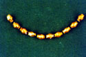 Female golden necklace from the large, rock-cut, hellenistic family tomb at Chania