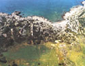 Aerial photography of the ancient Phalasarna
