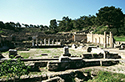North view of the spring's yard