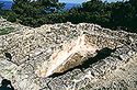 View of the roman bath