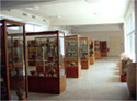 View of the museum's showcases