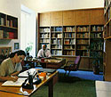 View of the museum library