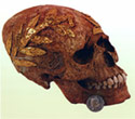 3/4 view of the head with the golden wreath
